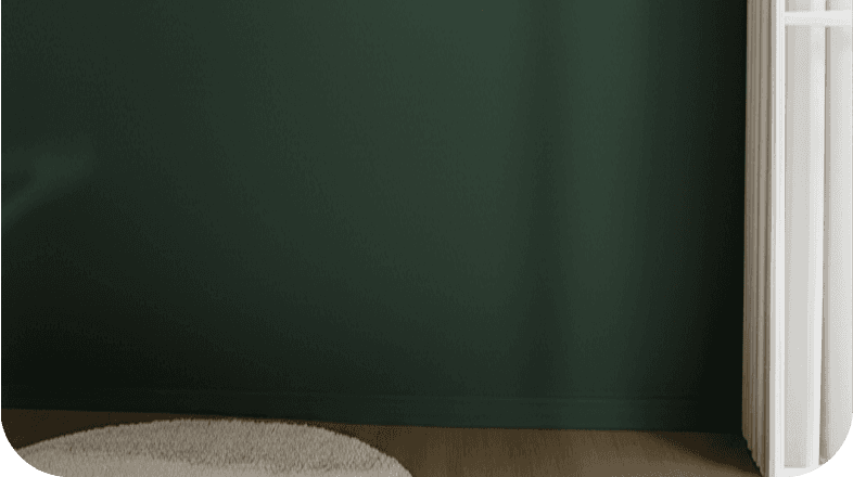Fresh interior wall finish with trim and flooring detail